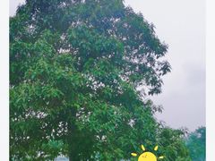 -汉长安城未央宫国家考古遗址公园