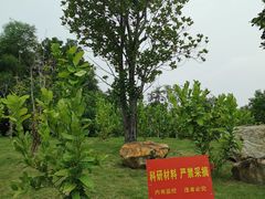 -佛山大学(仙溪校区南区)