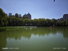 -团结湖公园