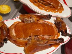 -秀儿四九城·新京菜(亚运村鸟巢店)