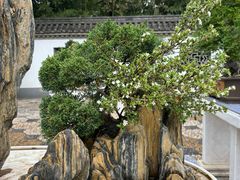 -宝鸡植物园