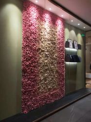 点击看大图 -盘子女人坊古装写真摄影(南京总店)
