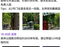 -日照灯塔风景区