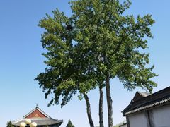 -盛世南宫影视城(北普陀影视城)