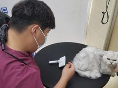 -芭比堂动物医院·CT·微创中心(新顺分院)
