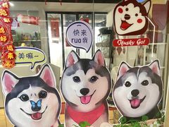 -Husky Go! 哈士奇体验馆·宠物咖啡厅狗咖