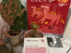 -纽巷咖啡 SOFTFOCUS COFFEE(锦和巴黎时韵店)