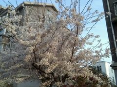 -比尔斯健康烤肉自助餐厅