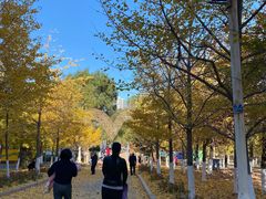 -长白岛森林公园