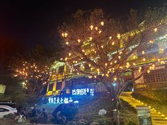 -巴倒烫陆派火锅山庄(南山总店)