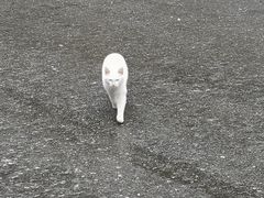 -南京市江宁方山
