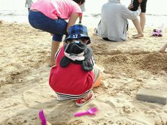 -青岛第二海水浴场