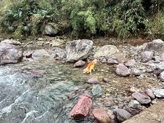 -湖州龙王山景区