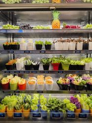 -舒友海鲜大酒楼·宴会厅(白鹭洲旗舰店)