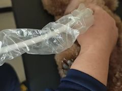 -全心全意连锁动物医院·微创中心·内科急重症·心脏专科(丰管路店)