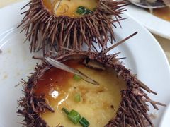 海胆蒸蛋-海岛渔村大酒店(云霄路店)