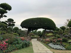-南宁南湖公园