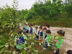 -宾果蒙特梭利托育儿童之家幼儿园(爱琴海店)