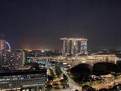 -新加坡瑞士史丹福酒店