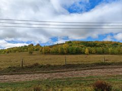 -塞罕坝国家级自然保护区