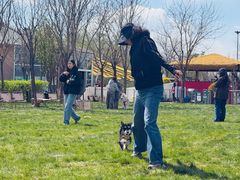 -爪吧宠物乐园 (温榆河示范区店)