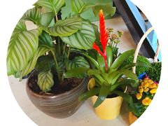 -艾蜜西餐厅(梅园店)