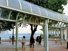 -海港城