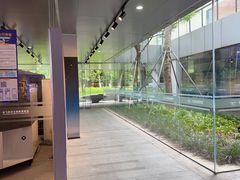 -成飞公园