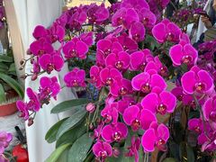 -珠海市体育中心-游泳馆