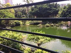 -九龙公园