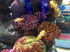 -暹罗海洋世界