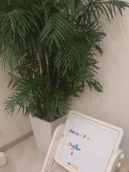 -智美品质医美