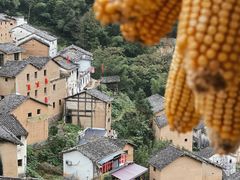 -阳产土楼