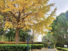 -苏州河梦清园环保主题公园