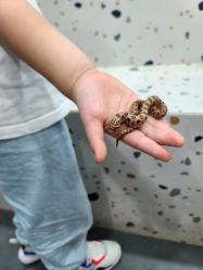 -Moni星球萌宠·小马宝莉·灵蛇·高端高阶全萌宠互动体验俱乐部(红豆国际广场店)