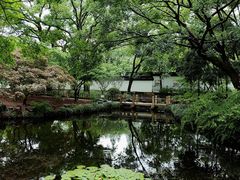 -秋霞圃