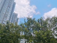 -武昌中华路码头(轮渡站)