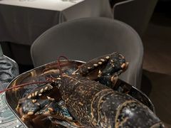 -Oyster Talks 四度蚝法餐厅