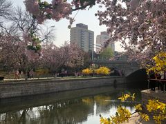 -元大都城垣遗址公园