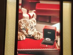 -卡地亚(贵和精品店)