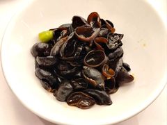 -骏莱海鲜鱼港(五角场店)