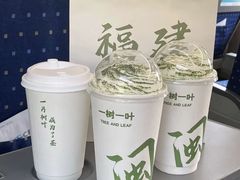 -一树一叶·福建茶档(石鼓路店)