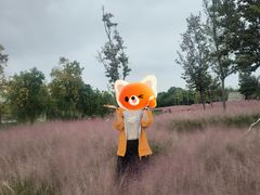 -九里湖国家湿地公园