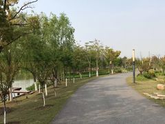 -上海长兴岛郊野公园