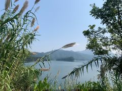 -千岛湖天屿景区