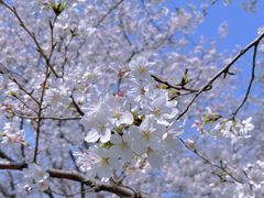 -西北湖绿化广场