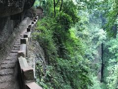 -青城山