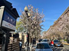 -天津五大道文化旅游区