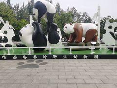 -西安秦岭野生动物园