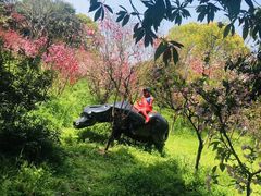 -南汇桃花村
